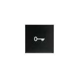 SWITCH BUTTON SYMBOL KEY BLACK  20-PACK