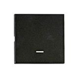 Rocker S 55 with tranparent control window, black