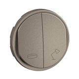 DESK/ENTRANCE LIGHT ROCKER TITANIUM