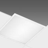 844 LED 40W CLD-D-D WHI UGR