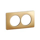 PLATE 2G 57MM SATIN BRASS