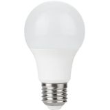 LED E27 GLS A60x105 12-60V 600Lm 5.5W 830 220° AC/DC Opal Non-Dim