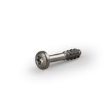 DLS3 | Cover screw TORX TX20, 3 x 18/10 mm