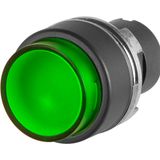 Projecting push-button, illuminated, green