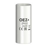 Disconnecting link ZPV22