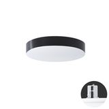 DELIA CV1 LED-1L14C03KNV62/PC22C 3000