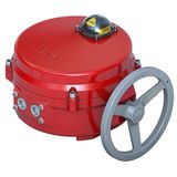 Servo VF209/299W, DN250-400, 3 Pts
