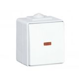 ROCKER PUSH-BUTTON W/ORIENT LIGHT 12V WHITE