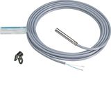 PT 100 temperature sensor