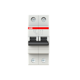 SH202L-B10 Miniature Circuit Breaker - 2P - B - 10 A