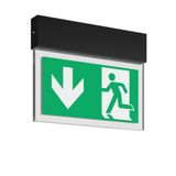 HALYXX, 4,8 W, black, on/off Ceiling luminaires, L 340 B 40 H 270, CBS