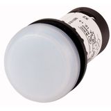 Indicator light, Flat, Screw connection, Lens white, LED white, 24 V AC/DC