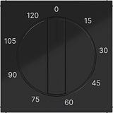 Central pl mechanical time switch 0-120 min., A.x/C.x, black glass.