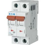 Circuit Breaker PL7 2P 4A B Curve 165086