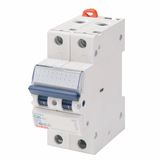 MINIATURE CIRCUIT BREAKER - MT 60- 1P+N CHARACTERISTIC C 40A - 2 MODULES