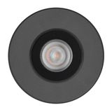 CRICKET+ 10 C/M 7 TUNABLE WHITE DMX ANTR
