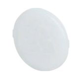 Diffuser for pilot light