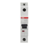 ST201M-B13 Miniature Circuit Breaker - 1P - B - 13 A
