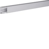 LF-Trunk.with partition PVC 20x35mm lgr