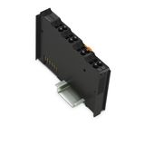 End Module Extreme dark gray