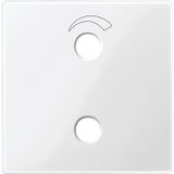 Central plate for radio unit, polar white glossy, system M