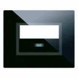VERATOUCH FR.PLATE W/NAME TAG BLACK