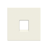 Cover plate telephone