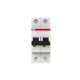 S202-D10 Miniature Circuit Breaker - 2P - D - 10 A