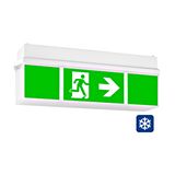 Emerg.lum. KWI Autotest 4x1W ERTLED 3h 230V AC ceiling m. TT