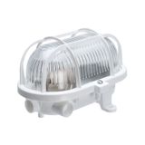 OVAL-7040T/P, LED, 5W, low voltage 12V/24V, 4000K, 570lm, white-polypropylene, cover transparent-polycarbonate, IP44, IK10, plastic cage