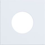 Central plate for push button/light signal E10, A.x/C.x, matte light white