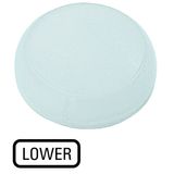M22-XL-W-GB18 Lens, indicator light white, flush, LOWER
