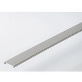 Wiring Duct Cover 50mm RAL7030