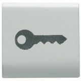 INTERCHANGEABLE BUTTON KEY - 22X22mm - KEY - SATIN WHITE - CHORUSMART