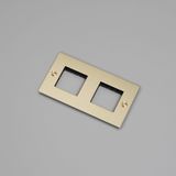 2G WALL PLATE / HORIZONTAL / NO INFILLS / WITHOUT LOGO / BRASS