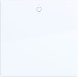 Single rocker, imprint "0", A.x/C.x, light white glossy