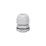 Pg-36 Stuffing Box
