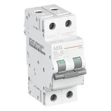 EP60 2P 4A D Miniature Circuit Breaker - 2P - D - 4 A