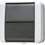 1-gang switch 10 AX / 250 V ~ 806W