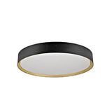 DECONA 42 CL PHASE Ceiling Luminaire 3000/4000K 23W, bl/go