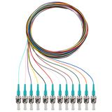 Pigtails, 12xST, OM3, 2m 