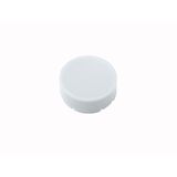 M22-XDH-W Button plate, raised white, blank