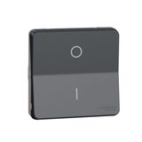 Switch Mureva Styl 2P 16AX IP55 Anthracite
