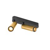 GRIP! M surface mount. ceiling dbl PHASE 3000K 28W 42ø gl/bl