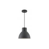 Ceiling fixture DANTE,2119,AC220-240V,50/60Hz,1*E27, max.40W, IP20, ś.27,5cm, single, black