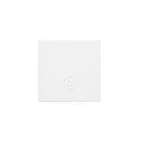 Single button for switches and push buttons, white matt