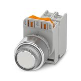 PHT22-FRHD-WH/PT10/WH - Button