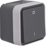On/off switch 2pole with imprint "0" and "1" surface-mounted, W.1 grey