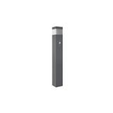 PANLUX Lamp GARD 76 60W E14 with sensor IP44 gray
