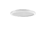 FL R+ 333 SM 8/23 S/B 8TW WH9016 DT8 MP